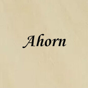 Ahorn